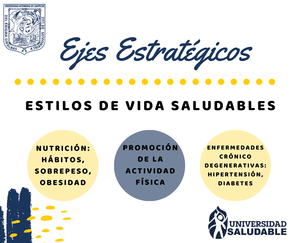 Ejes Estratégicos (16)