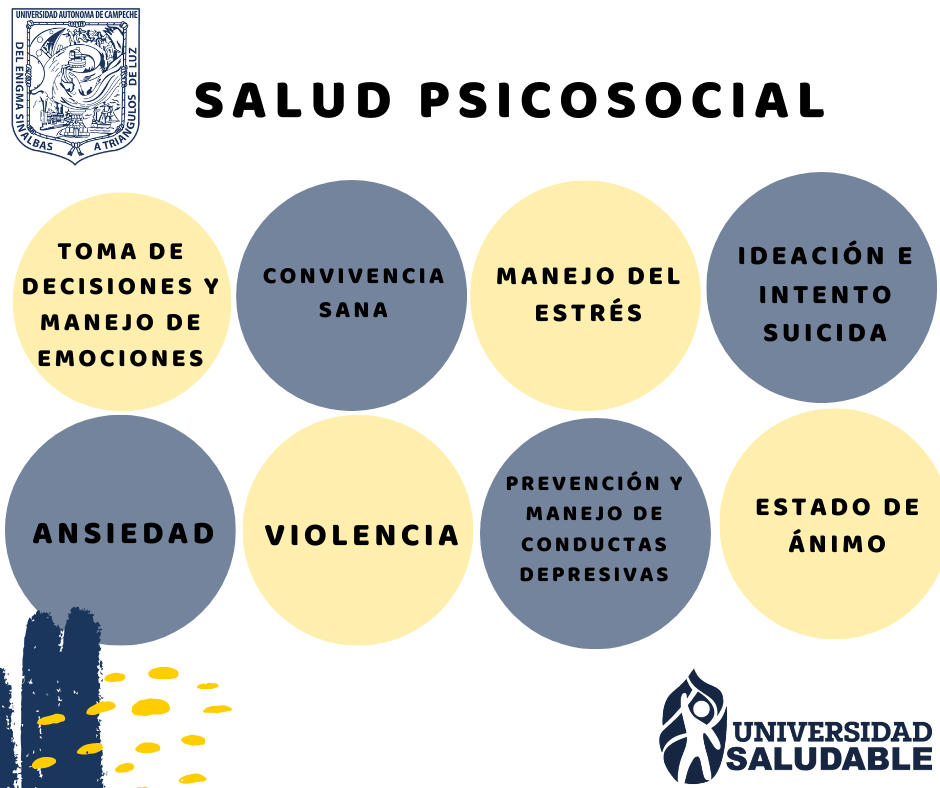 Ejes Estratégicos (17)