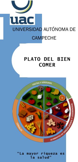 PLATO DEL BIEN COMER