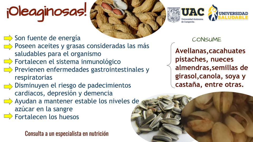 Oleaginosas